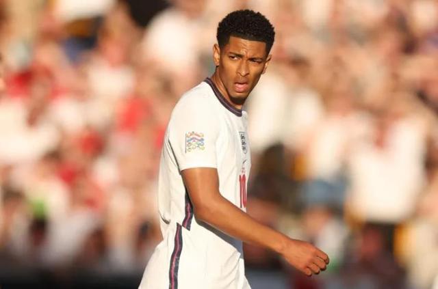 引发众怒，电讯报：摩洛哥为承办国际赛事大规模捕杀流浪狗